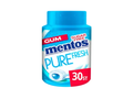Mentos Gum Pure Fresh 60g